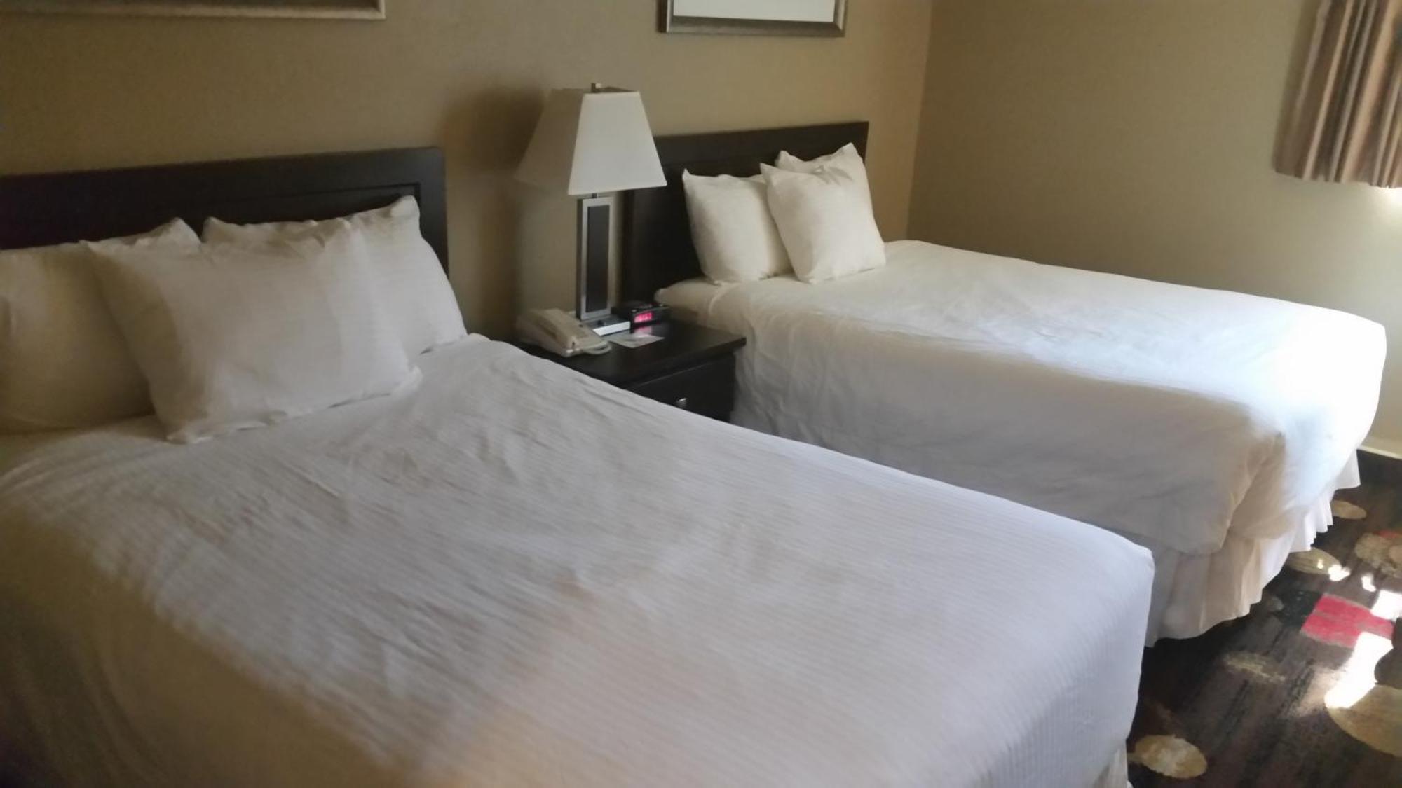 Stonebridge Hotel Fort Mcmurray Rum bild