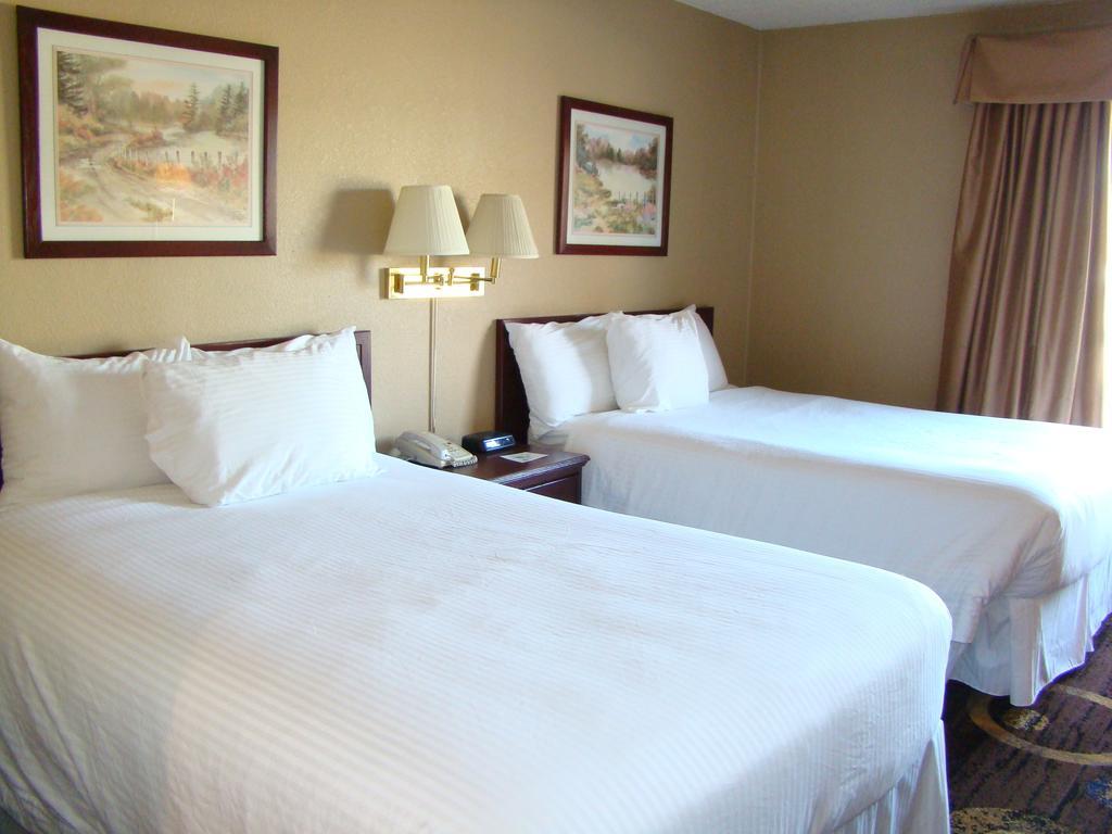Stonebridge Hotel Fort Mcmurray Rum bild