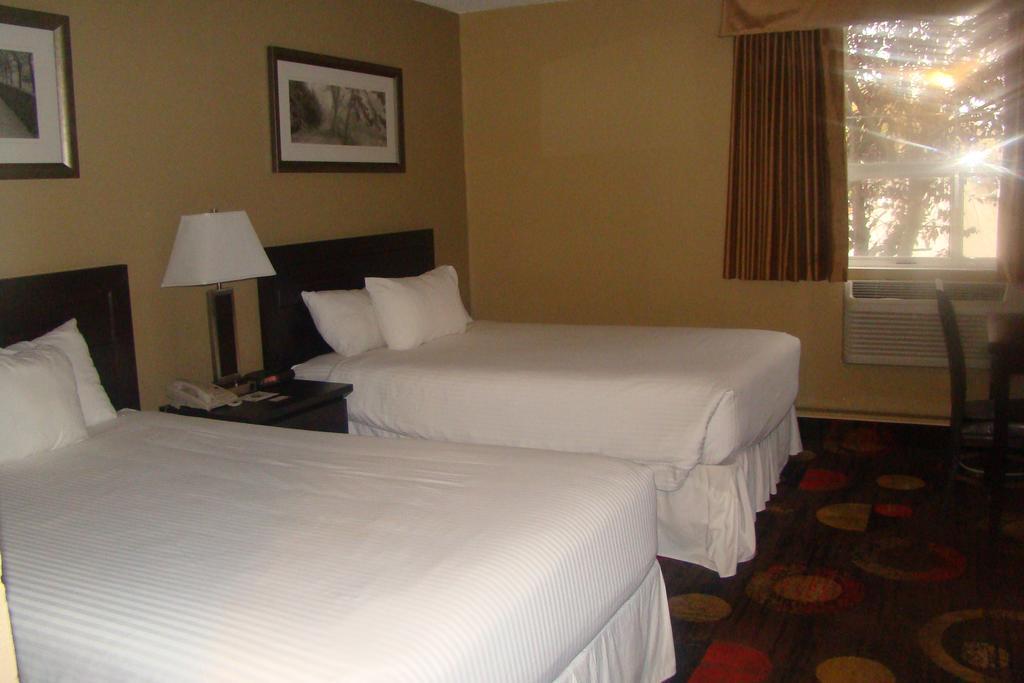 Stonebridge Hotel Fort Mcmurray Rum bild